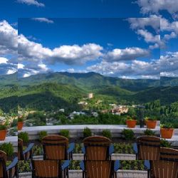 Business image 9