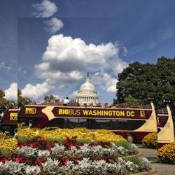Business image 1