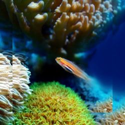 Business image 14
