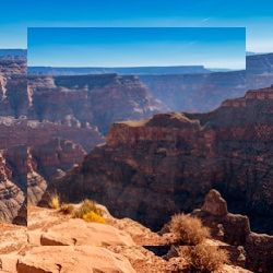 Business image 11