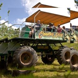 Business image 5