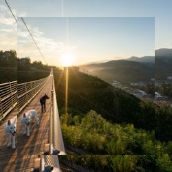 Business image 10