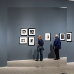 Business image 6