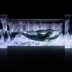 Business image 1