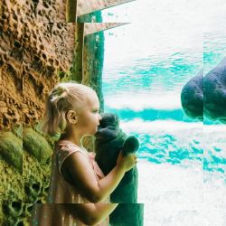 attraction