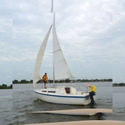 Business image 7
