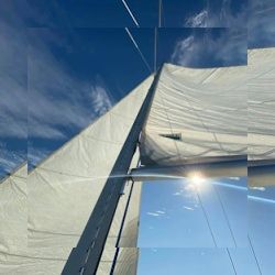 Business image 11