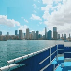 Business image 7