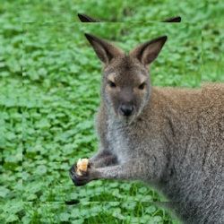 Business image 6