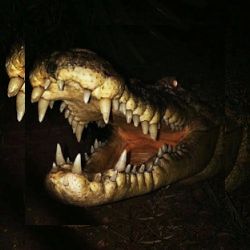 Business image 3
