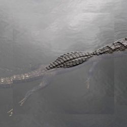 Business image 7