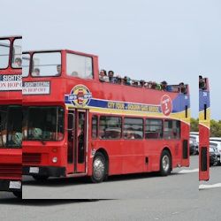 Business image 3