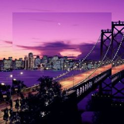 Business image 18