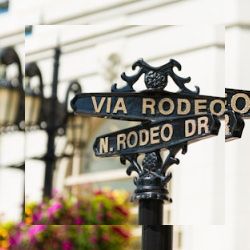 Business image 14