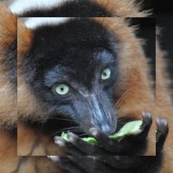 Business image 13