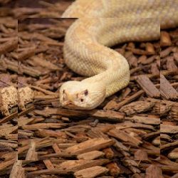 Business image 14