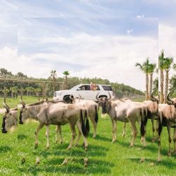 Business image 12