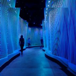 Business image 7