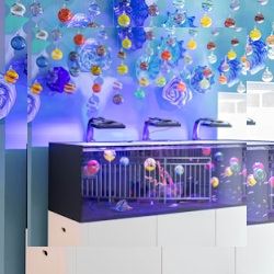 Business image 12