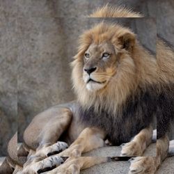 Business image 6