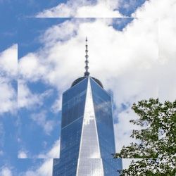 Business image 5