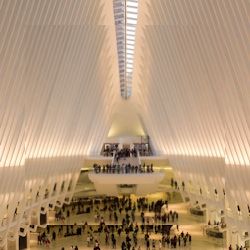 Business image 4