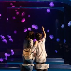 Business image 6