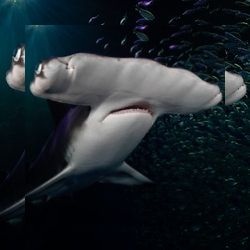 Business image 9