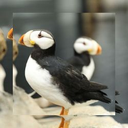 Business image 12