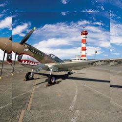 Business image 9
