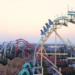 Business image 6