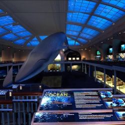 Business image 8