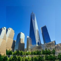Business image 18