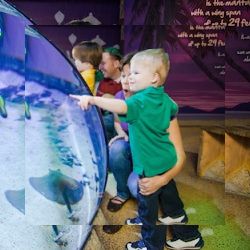 Business image 5