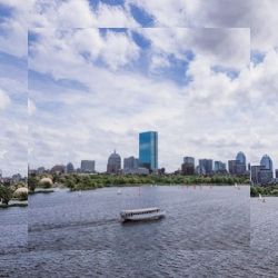 Business image 4