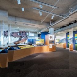 Business image 7