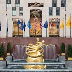 Business image 7