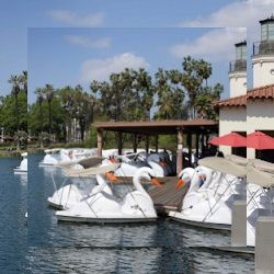 Business image 6