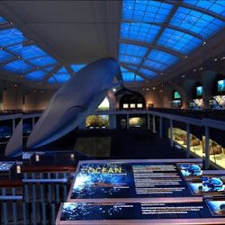Business image 12