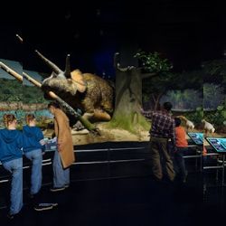 Business image 2