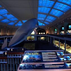 Business image 7