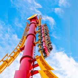 Business image 5