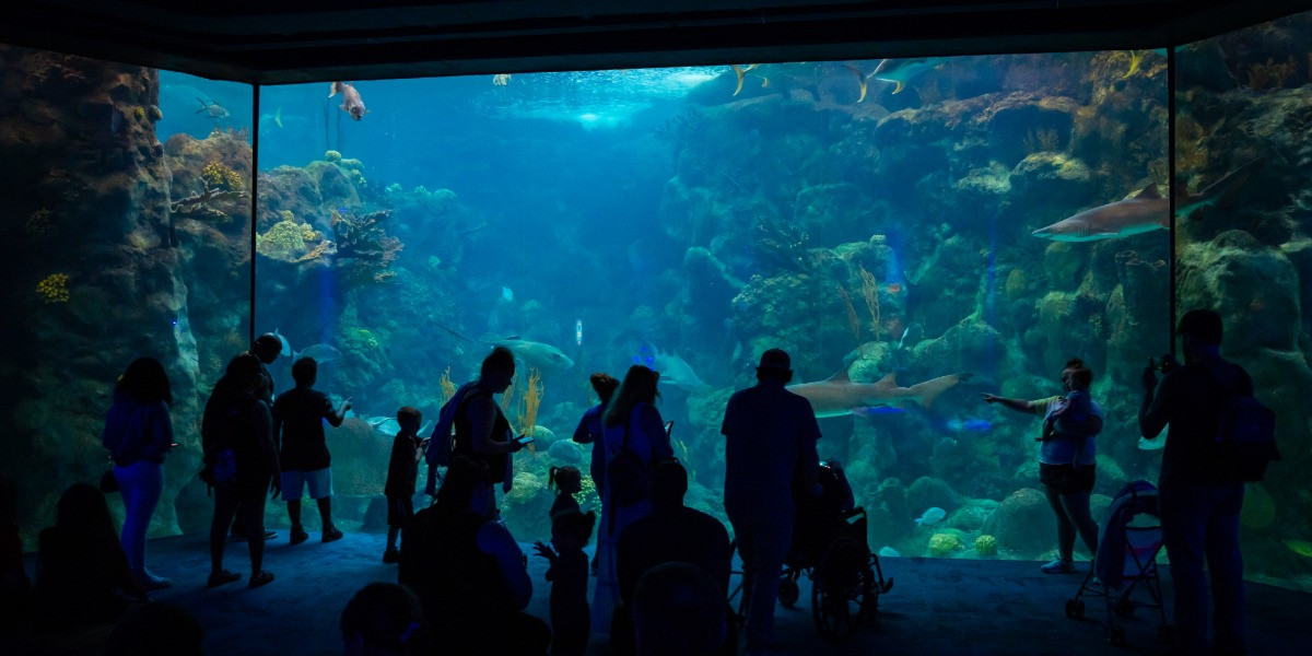 Florida Aquarium