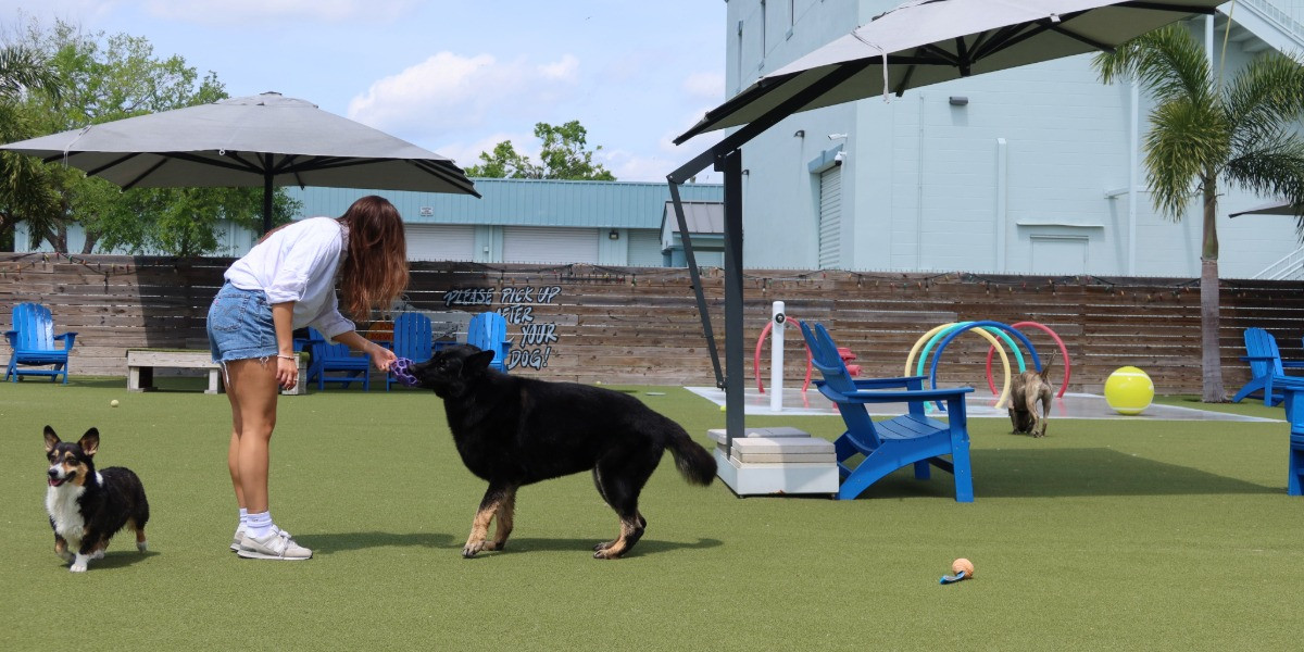 Go to a dog-friendly hangout