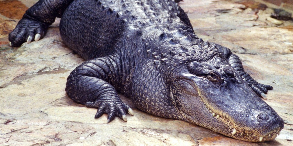 Event image 1