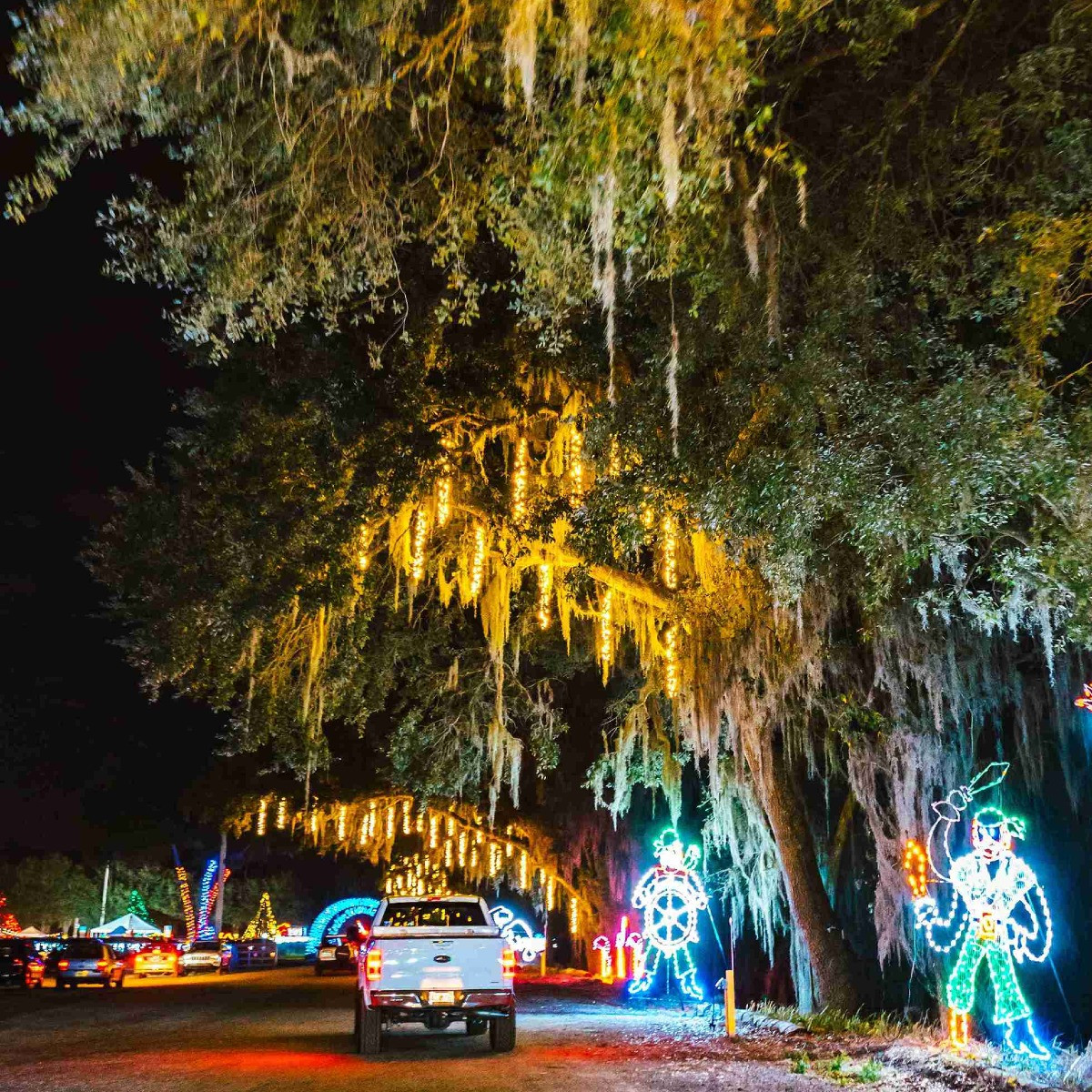 Tampa Bay Festival of Lights