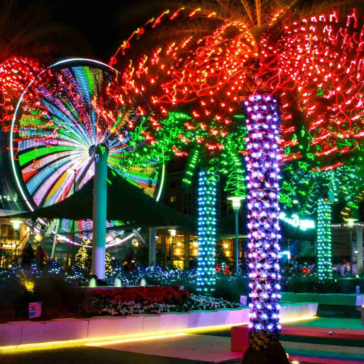 Holiday Lights & Carnival Rides