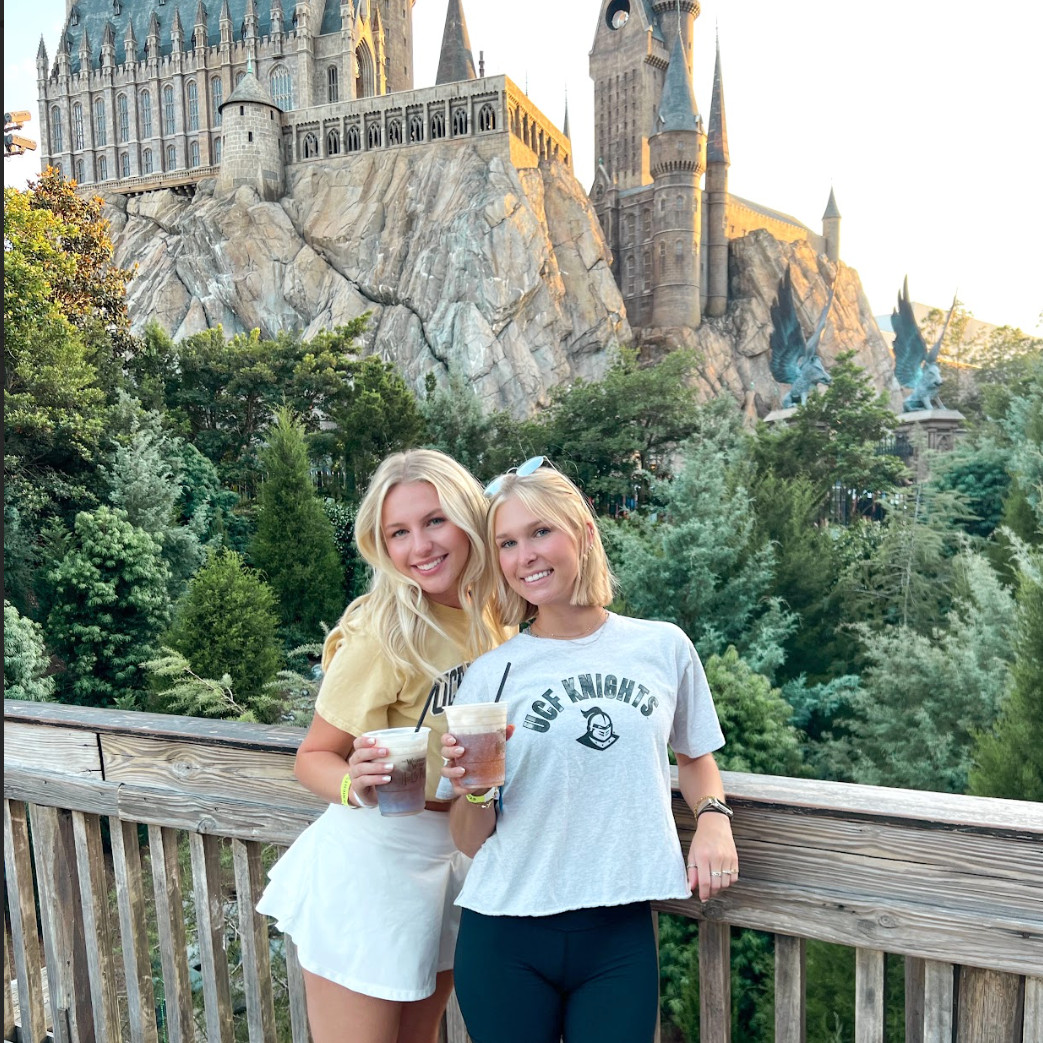 Theme parks