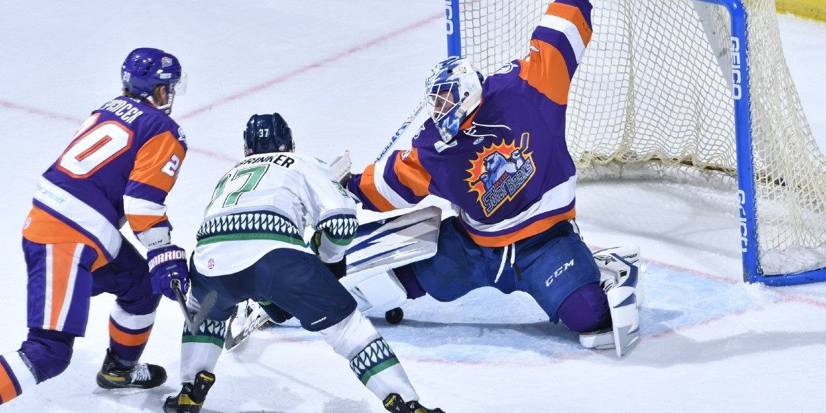 Solar Bears game