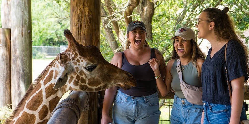 Jacksonville Zoo and Gardens